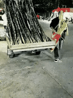 钓鱼打窝，卖甘蔗也打窝吗？[捂脸哭][捂脸哭][捂脸哭]