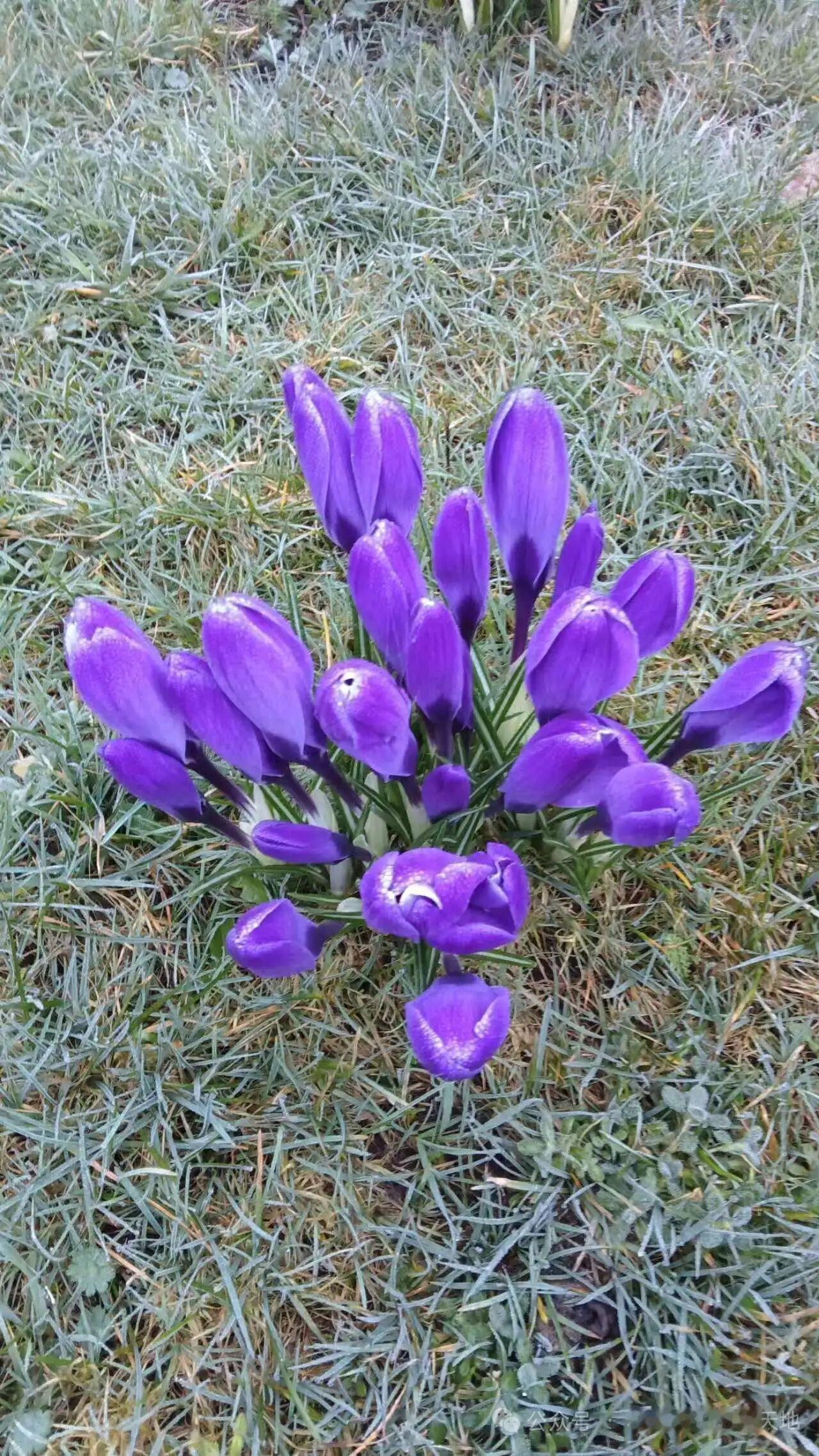 好多女人被家暴了也不离婚，原因还挺复杂的。就像我二姐，小时候就常被二姐夫打骂，有