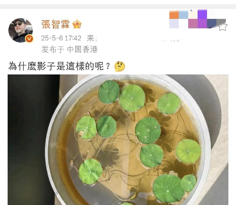 张智霖，疑惑发文！2025年5月6日下午，张智霖在社交平台疑惑发文，配图是一张