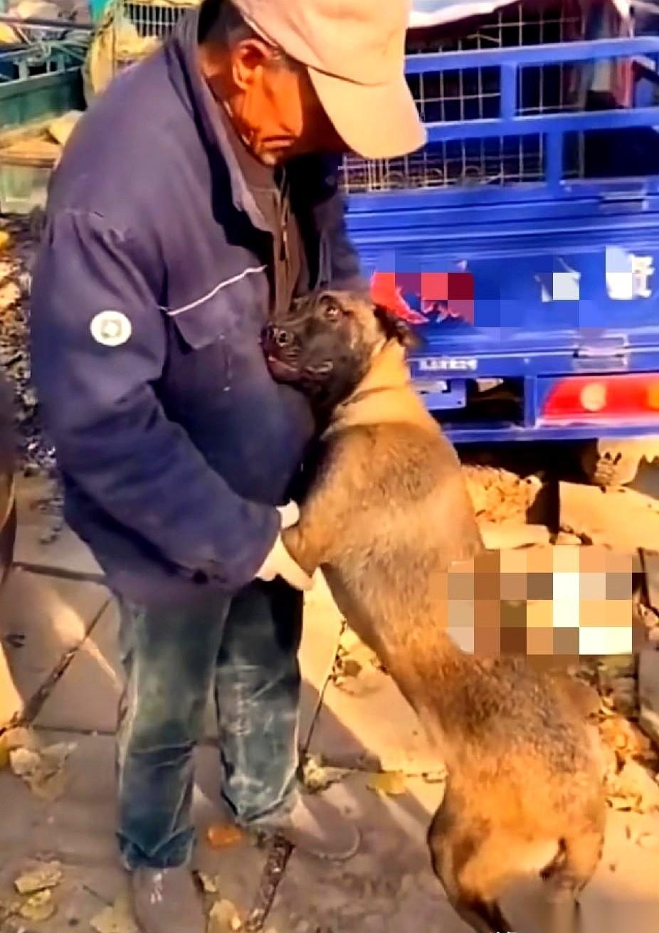 铁笼子的门“哐当”一声锁上了。大爷数着手里的钱，转身就准备走。就在他转身那一刻