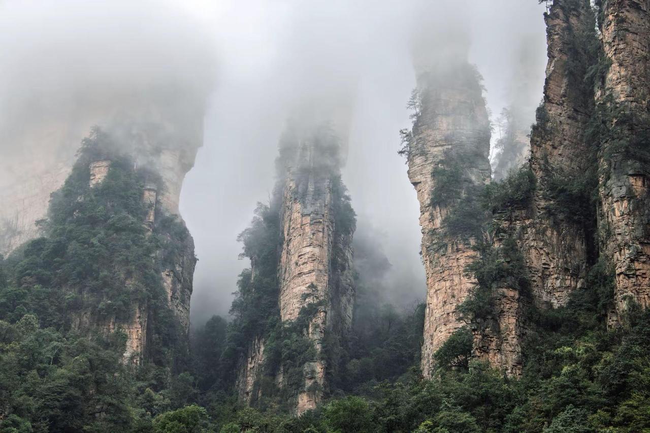 张家界。张家界人间仙景仙境云雾缭绕人间仙境