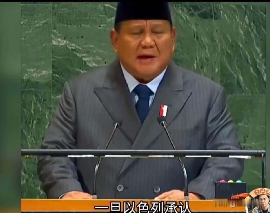 天呐！感觉印尼去过东大后，说话都硬气了！印尼总统在联合国大会发言说，他们可以为巴