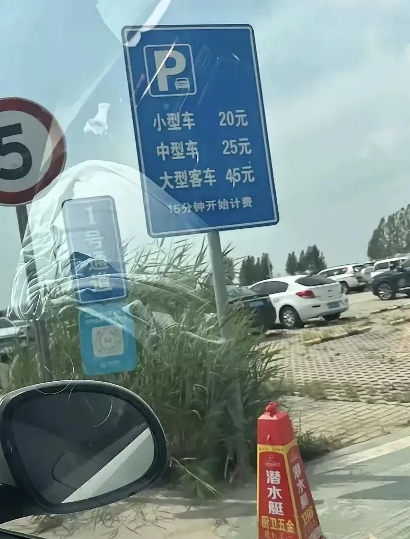 华北明珠的白洋淀，即使没有扎车胎的事，我也不会去的，虽然离北京那么近还那么美。