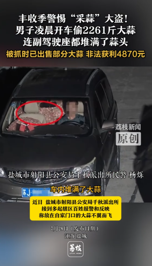 “丢人丢到家了！”2025年7月，江苏盐城，一男子凌晨开车偷了2261斤大蒜，连