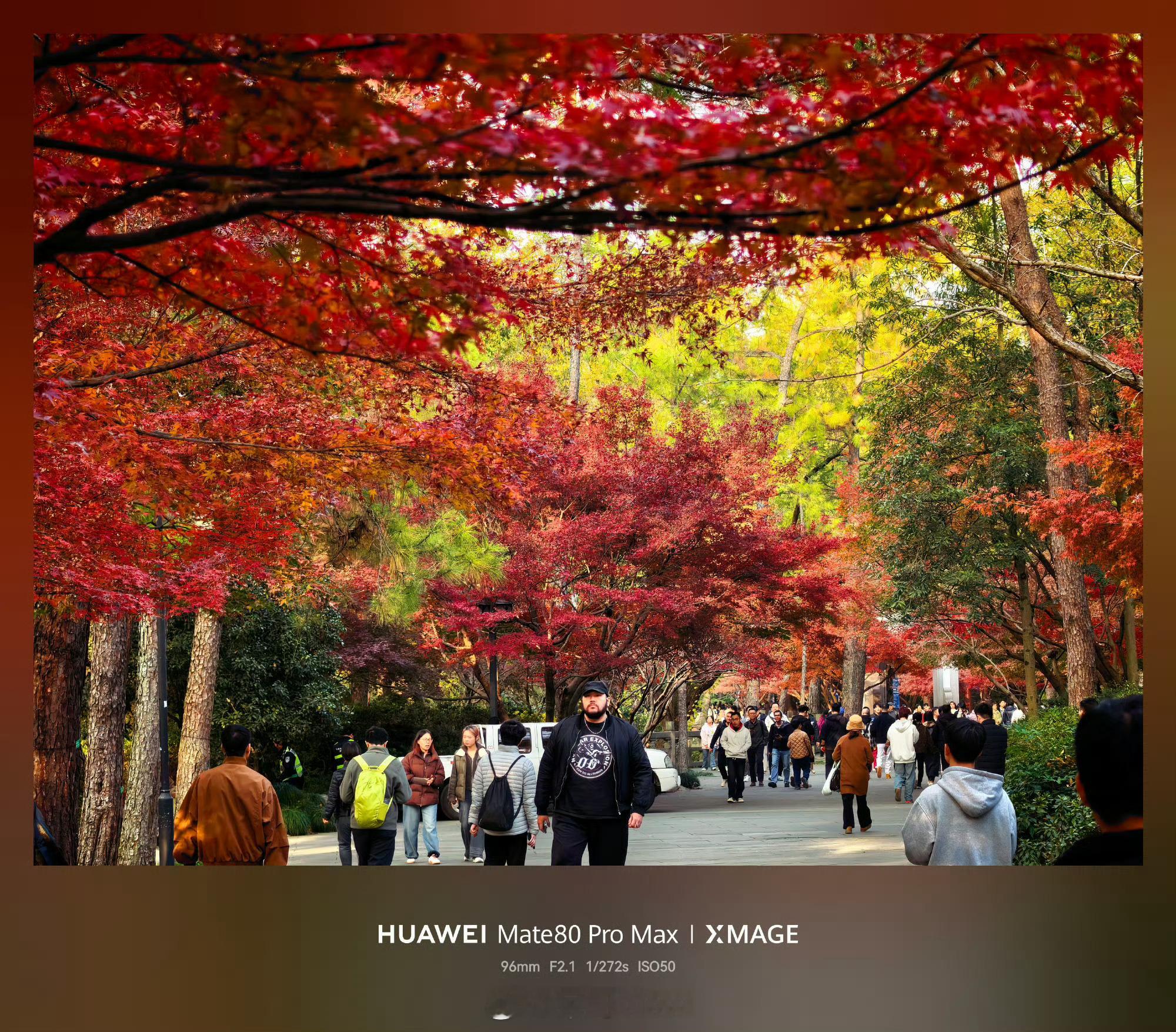 也是体验了第二代红枫原色相机，拍红枫确实好看。以前拍照不会调参数怎么拍都觉得没有