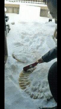 饺子，我直了。