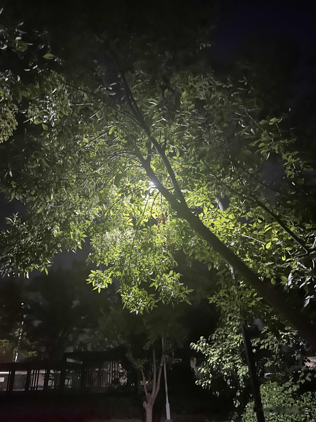 原配们都真是傻的可以[捂脸哭]，看到两位优秀的原配女主都曾经给出轨的前夫和小三给过