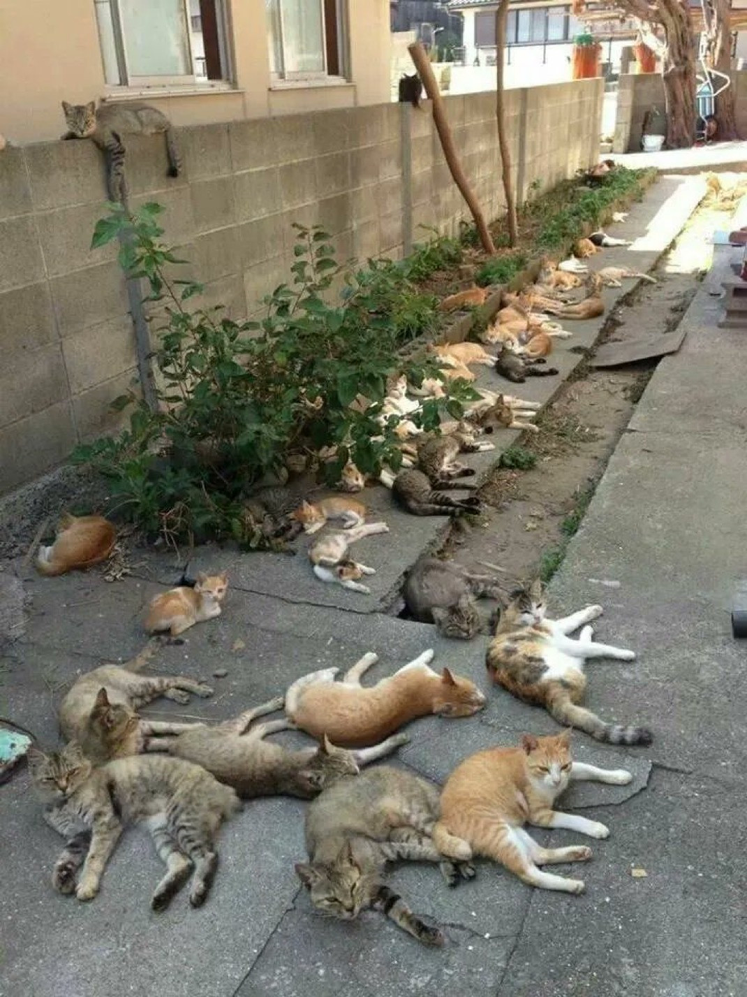 分享图片​​​