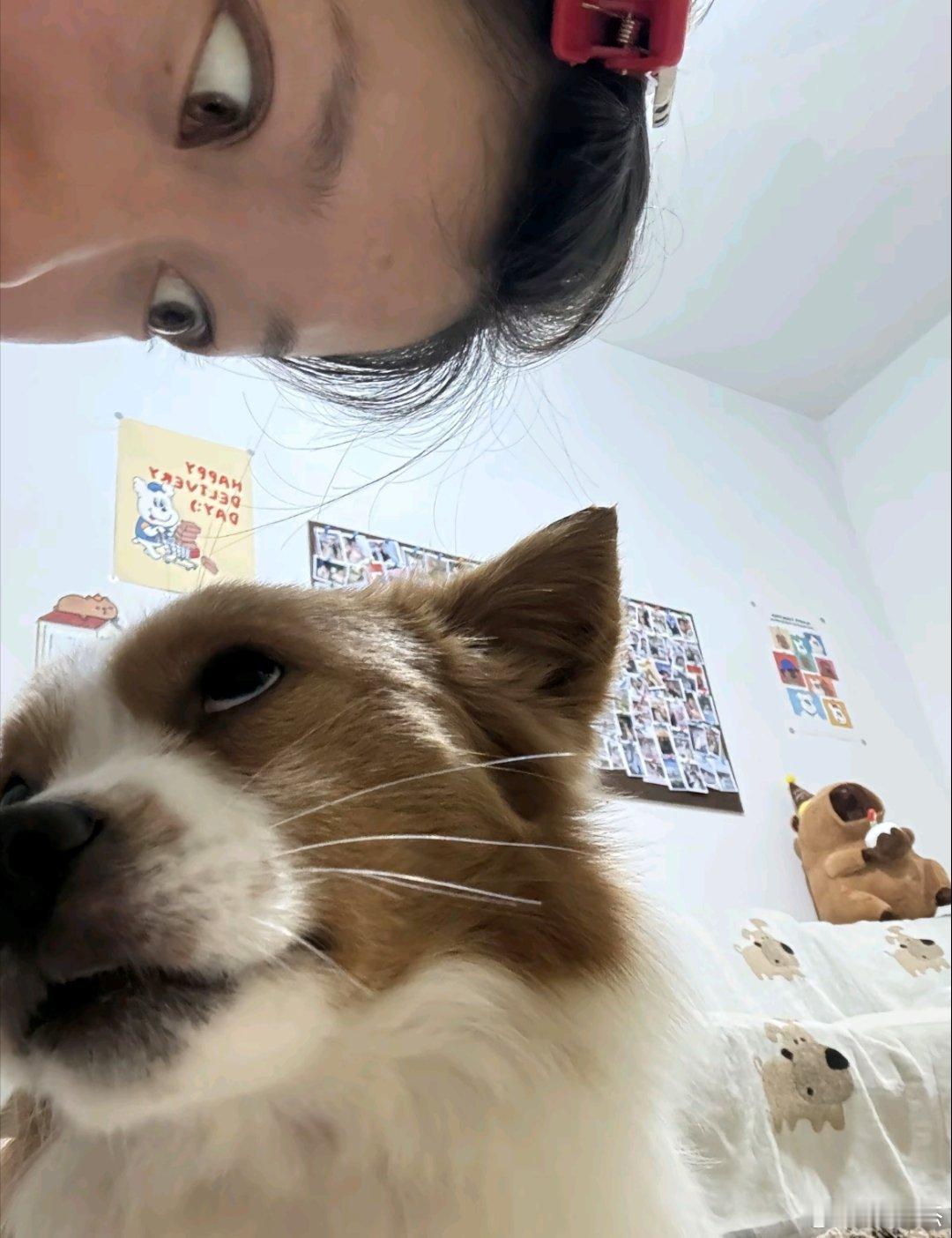 跟宠物合影，哪一对最像一家人？