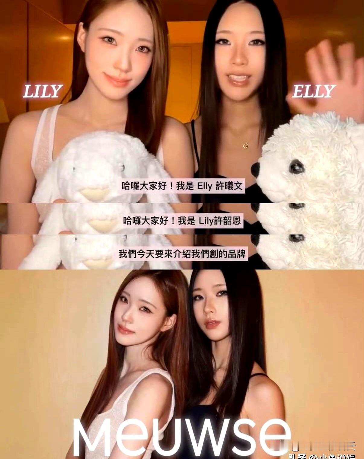 当两个未满二十岁的女孩宣布做品牌时，评论区炸了，几乎清一色在问：又要把“大S的灵