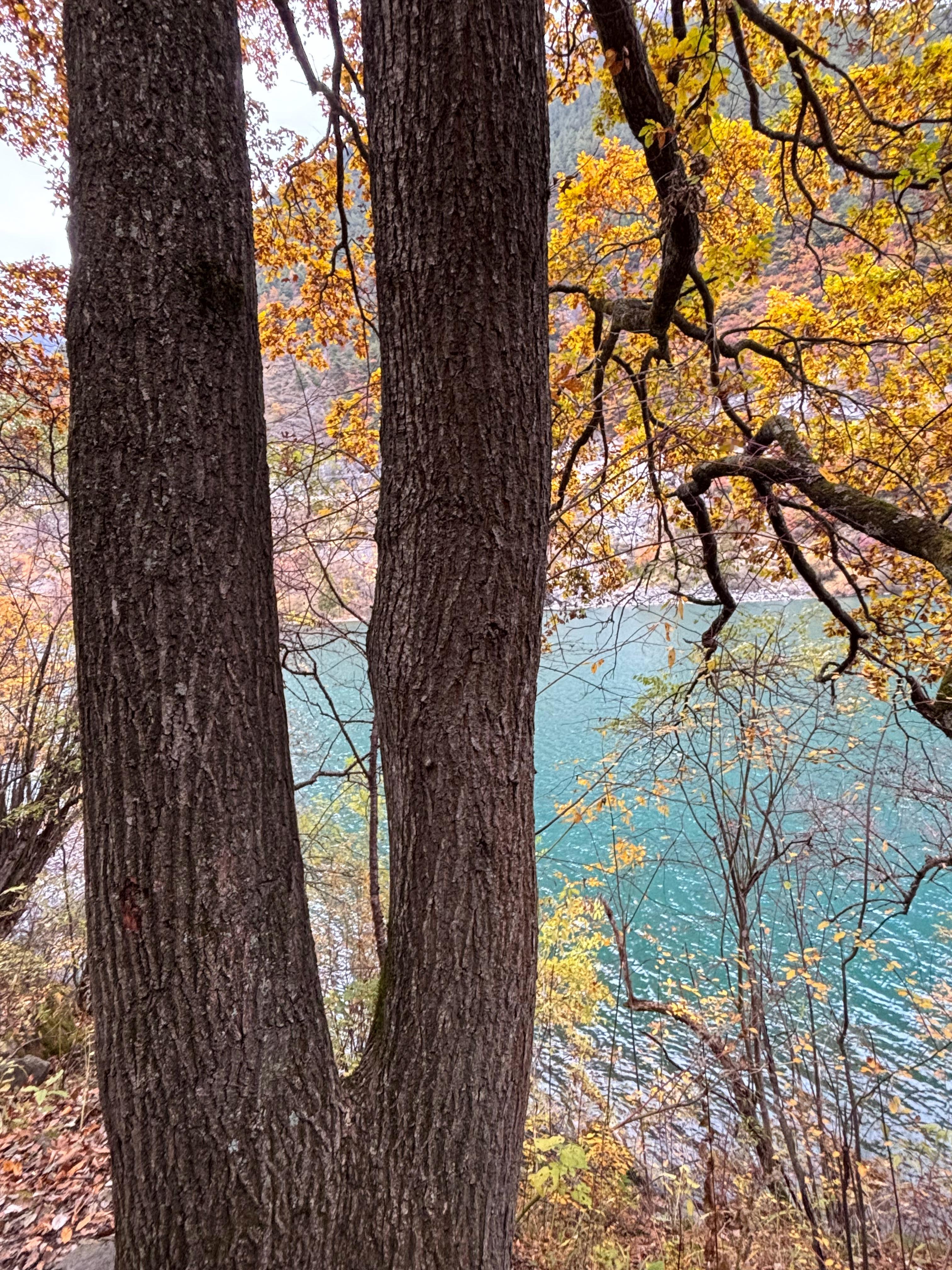 发一组2025的风景，期待2026年的风景更丰裕更艳美随手拍美景走走停停