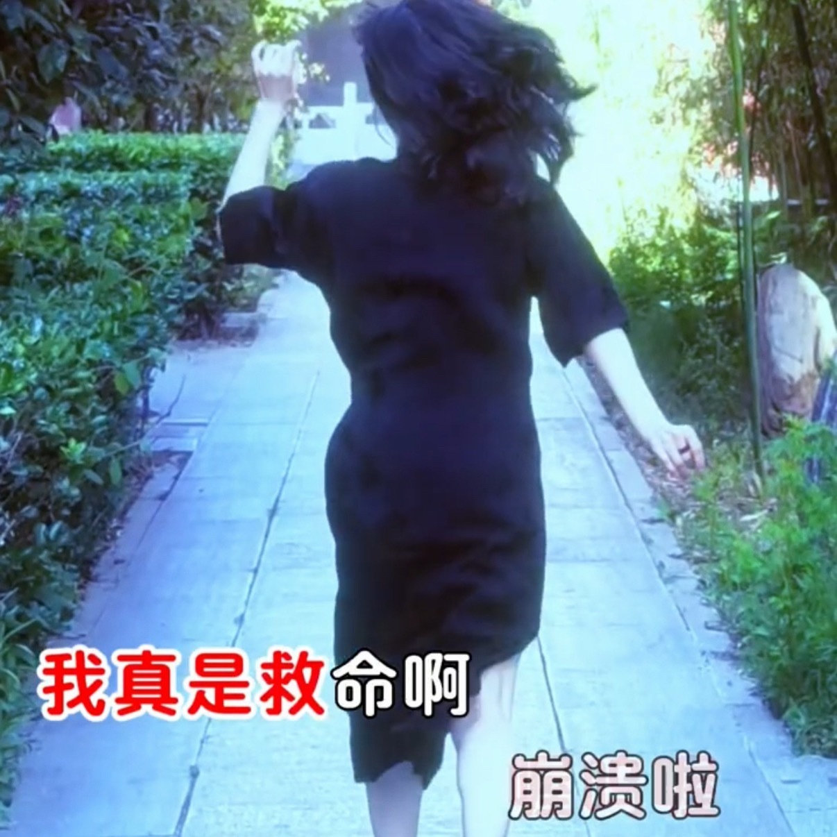 如何呢，没有二星吕布高⭐诸葛亮又瑕庞统，遗迹泰山府过不去，没有亮英完美盘，白鹄也