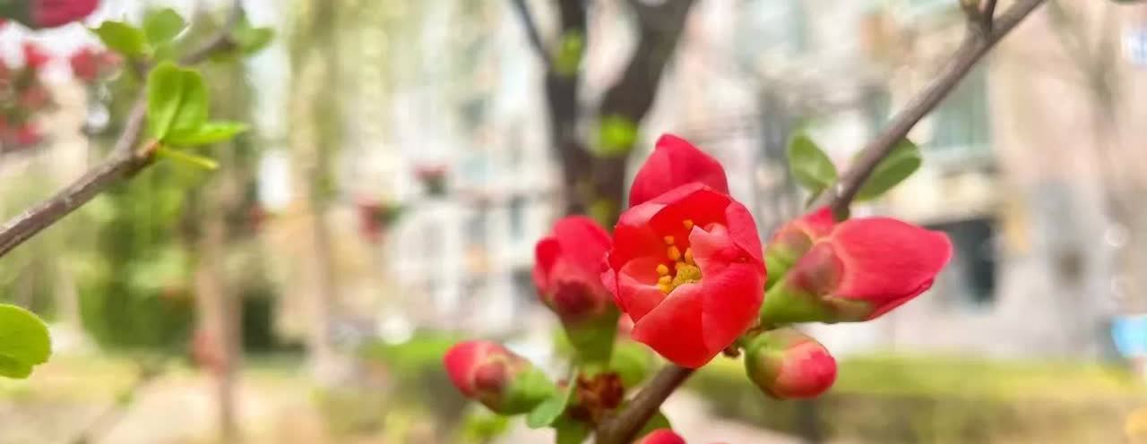 莎头的CP粉们，还是散了为好，一个剧本又一个剧本，一会儿出坑，一