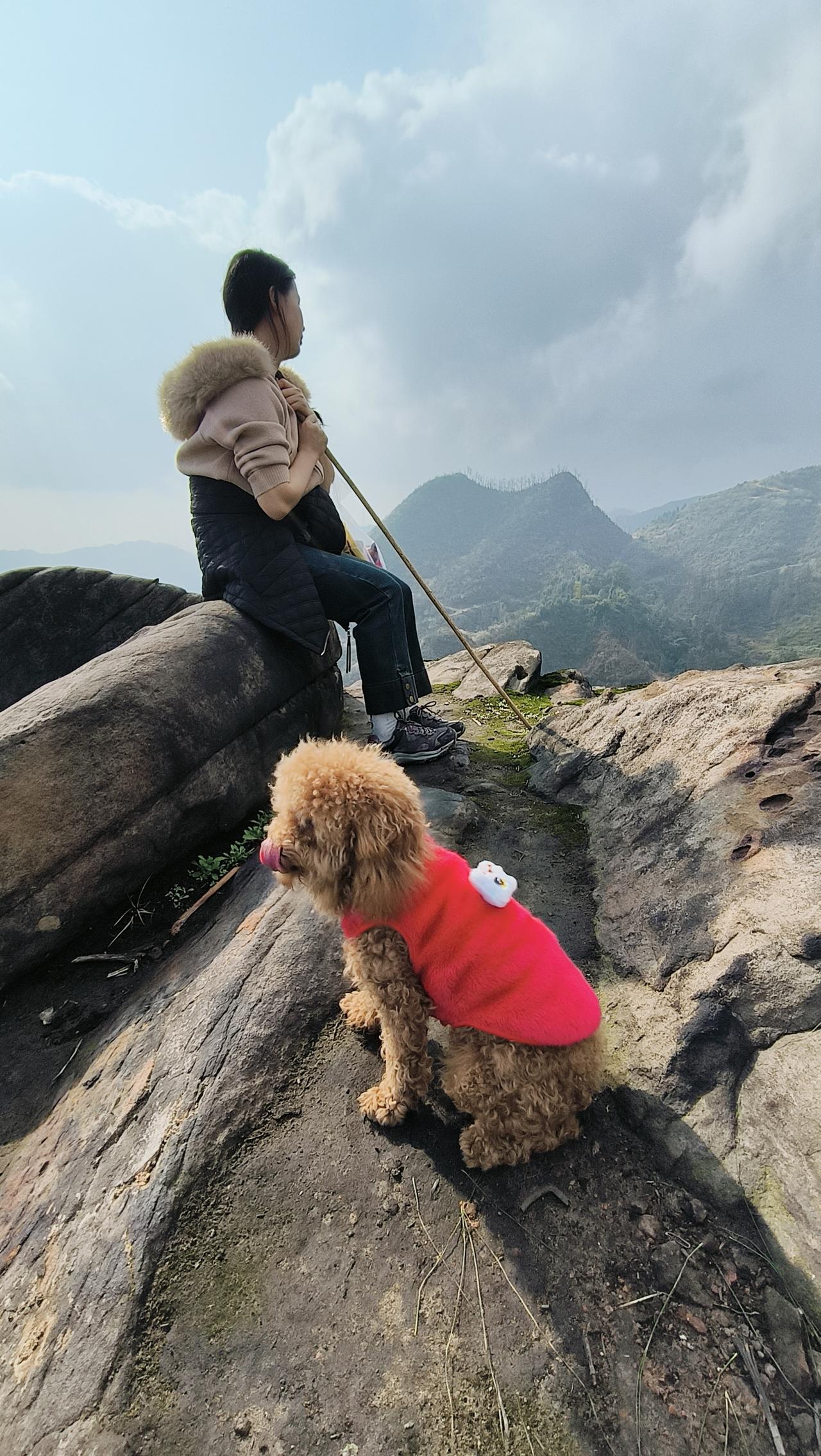 登山的快乐，是身边有只小泰迪紧紧跟着，山风掠过肩头时，我坐在岩石上望着远处层叠的