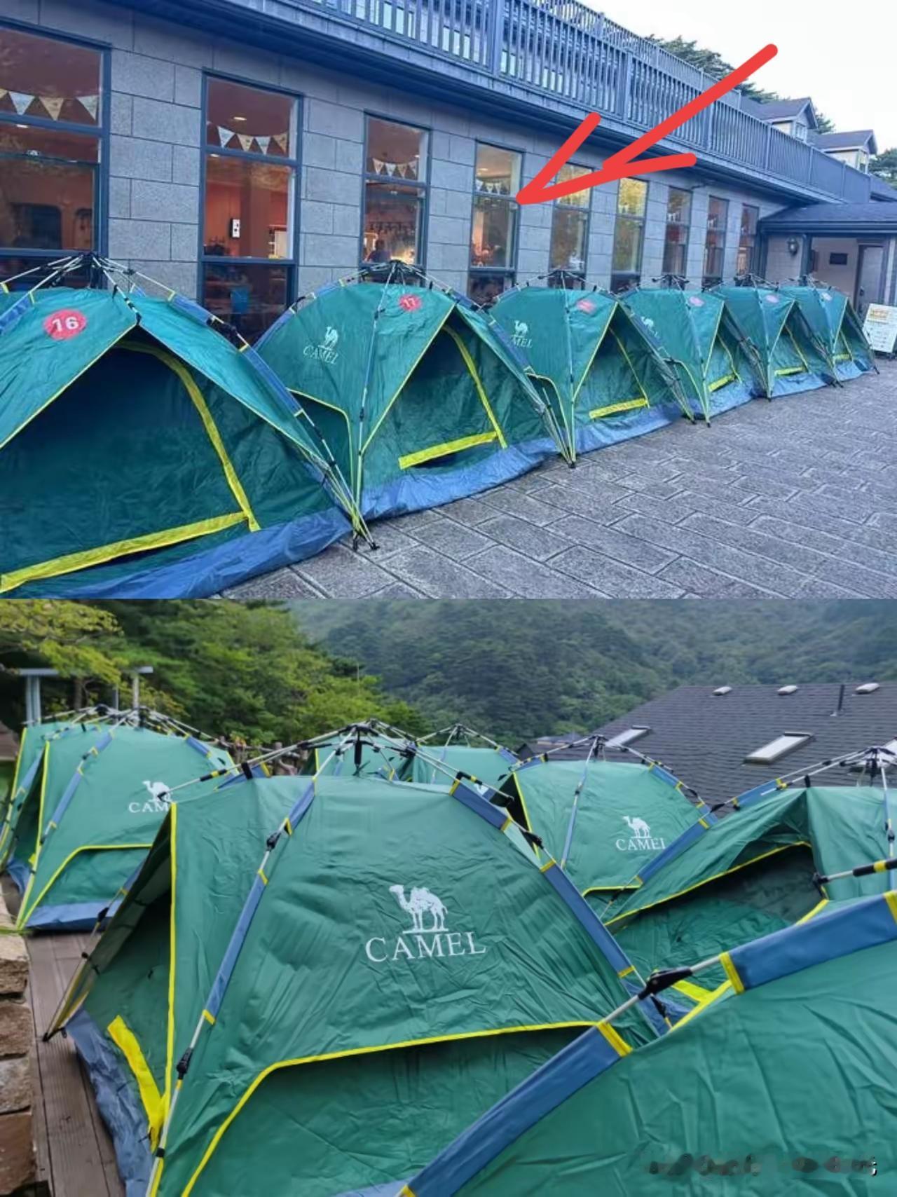 别再骂年轻人“抠”了，他们只是把钱花在了刀刃上。今年的旅游市场，年轻人用脚