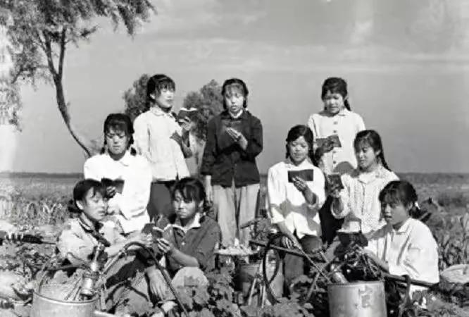 1981年11月间，大病初愈的王震将军回到了家乡浏阳县北盛镇马战村。一到家，王震