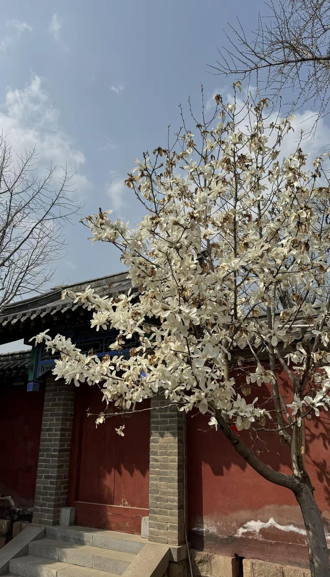 生活慢下来感受春天的芳香