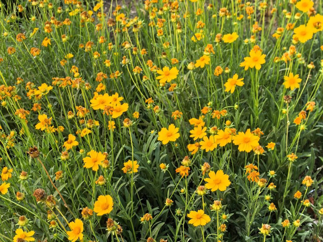 有没有发现？到医院看病，十个医生有九个医生告诫病人少抽烟少喝酒对人身体有好处，