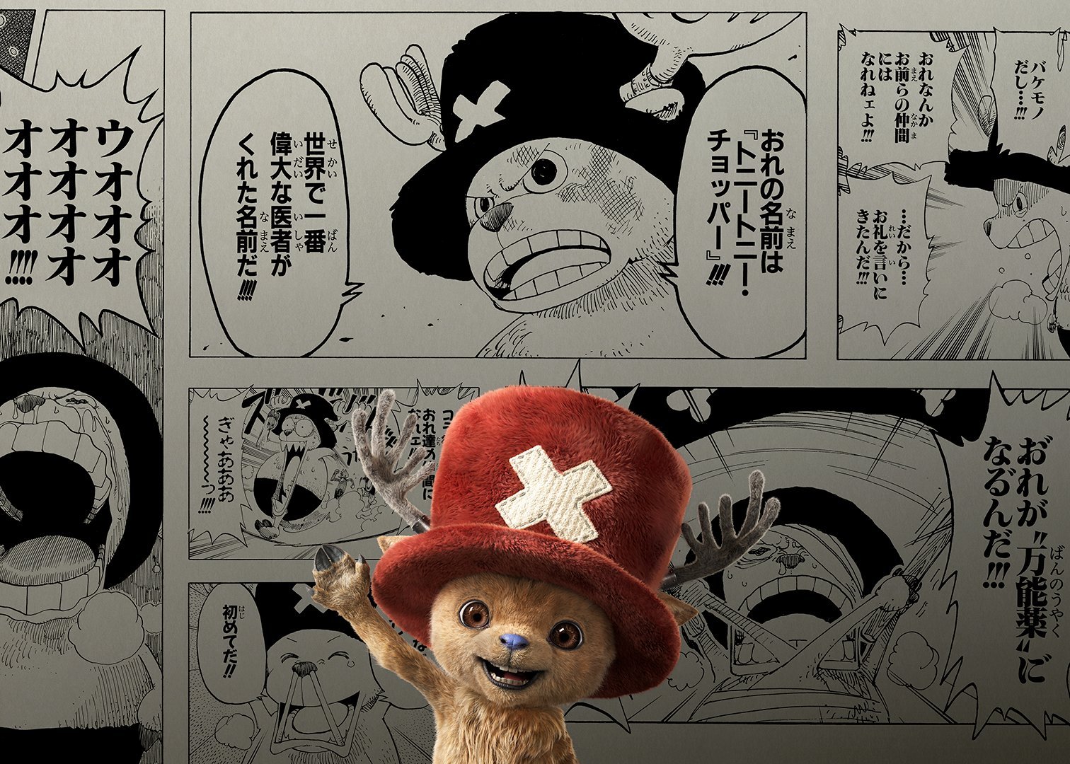 海贼王海贼王海贼王真人版距离真人版海贼王第二季播出还有【14】天