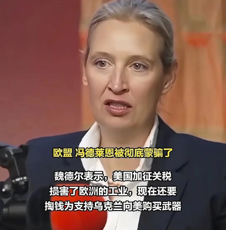 就在刚刚，魏德尔全麦开喷！不仅抨击美欧贸易之间的不平等，还直言冯德莱恩和欧盟都