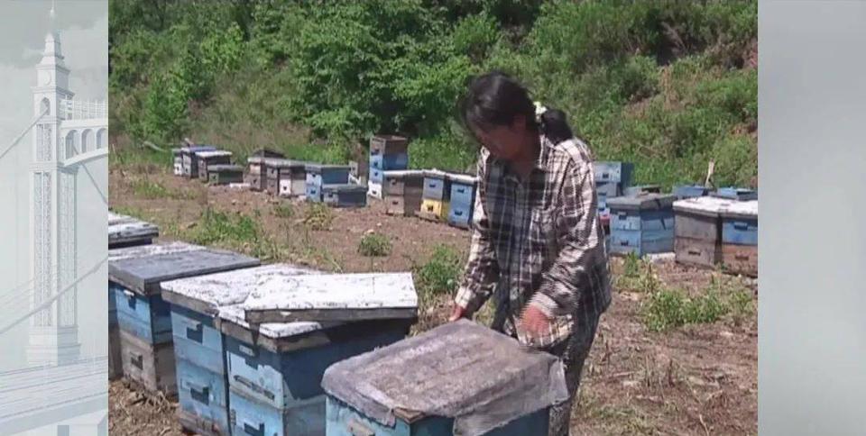 2006年，黑龙江一女子睡觉时，一条大蛇钻进了她的被窝，女子心软没把它赶走，谁知