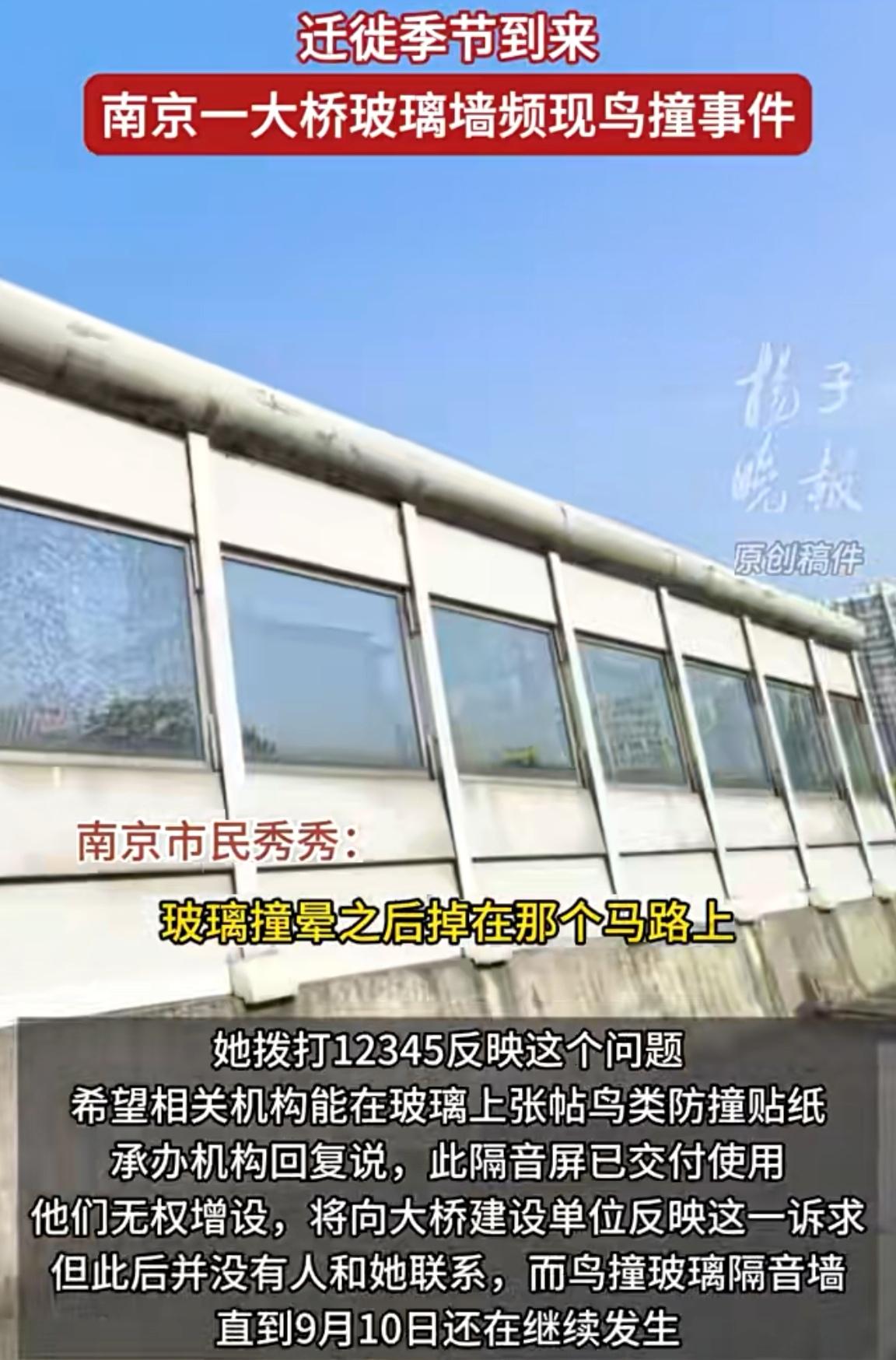 南京一大桥玻璃墙频现撞鸟事件！网民建议亮了！这件事引起了很多市民的关注，一位