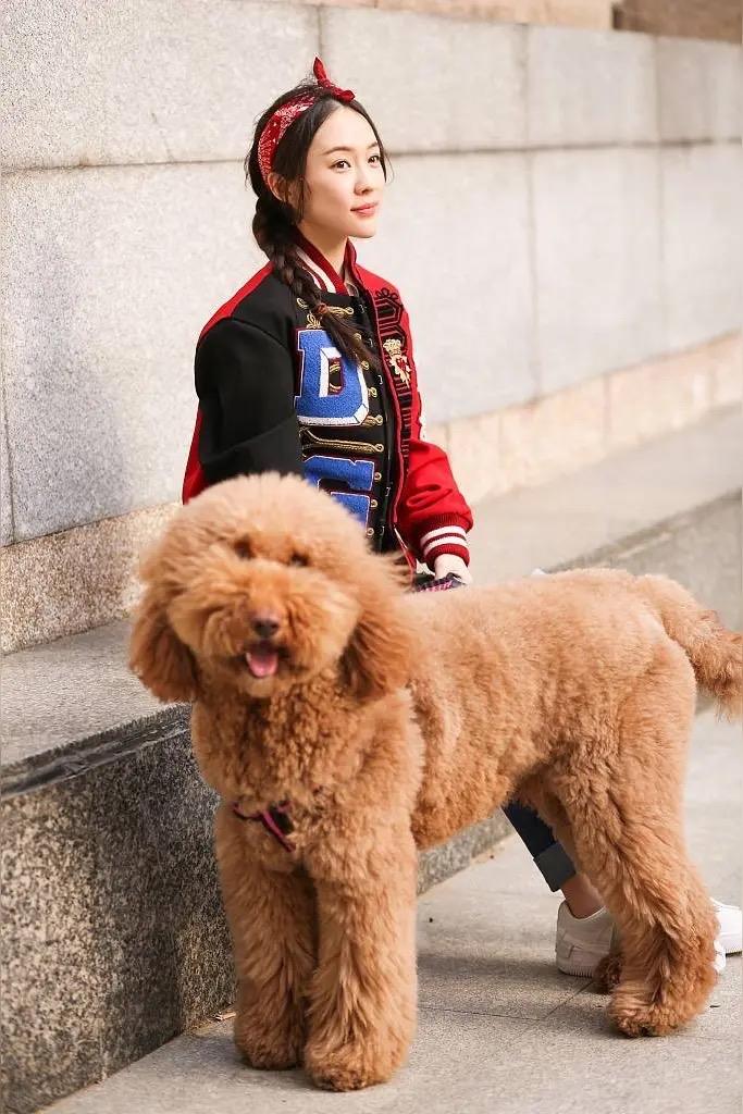 刷到一个很有意思的评论说霍思燕也太厉害了吧不仅把老公杜江养得好好的儿子嗯哼