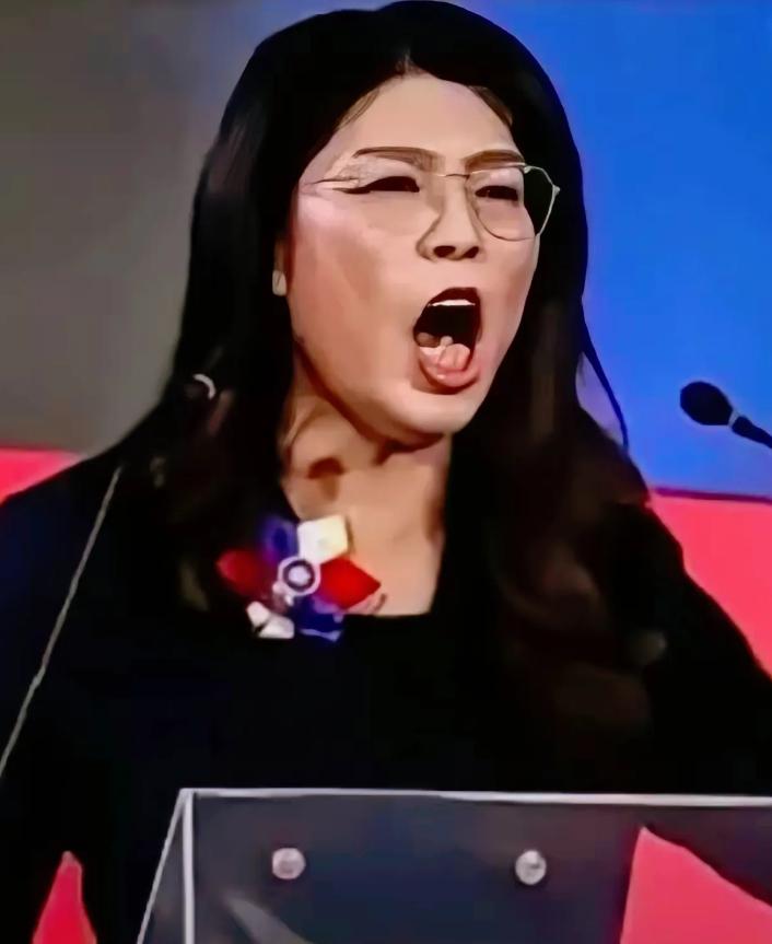 这下热闹了！两岸乃至国际上的目光全聚过来，台湾地区国民党负责人郑丽文的一句话，直