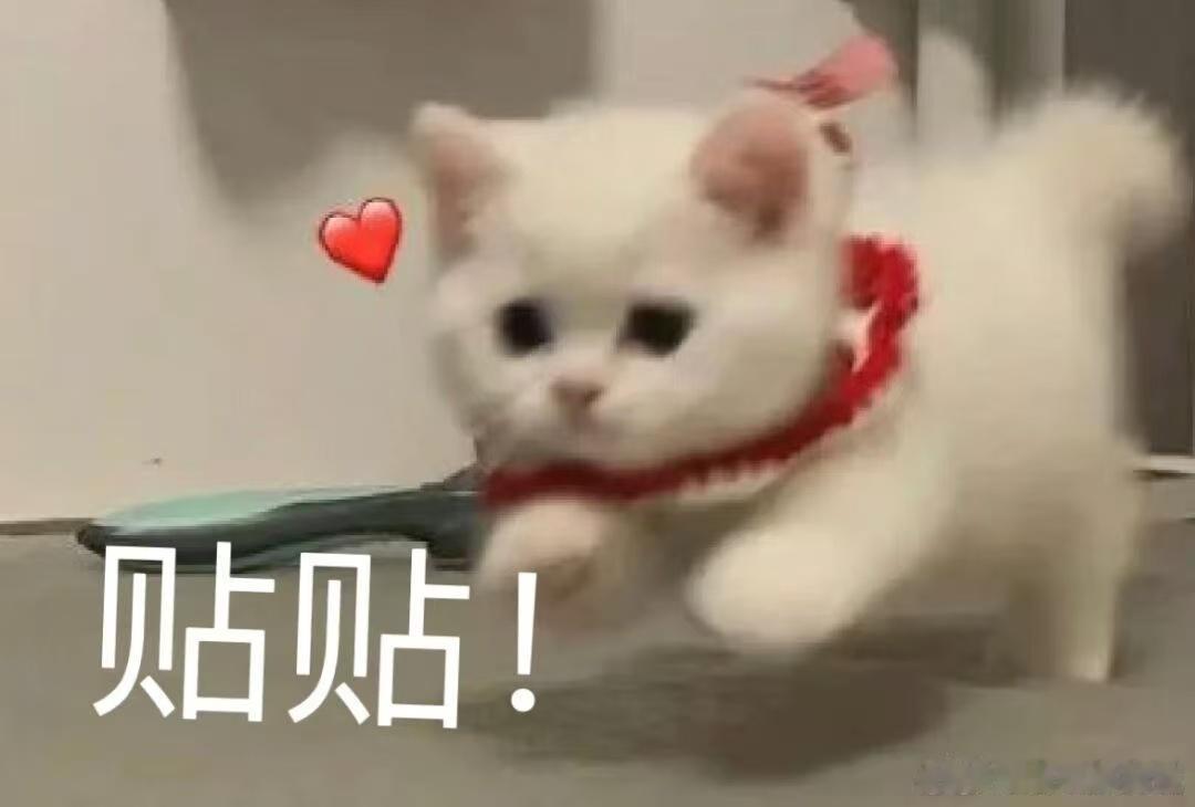 中秋来北京出游的养宠人有福了TA在活动现场自在社交，主人结识同好，节日多了份归