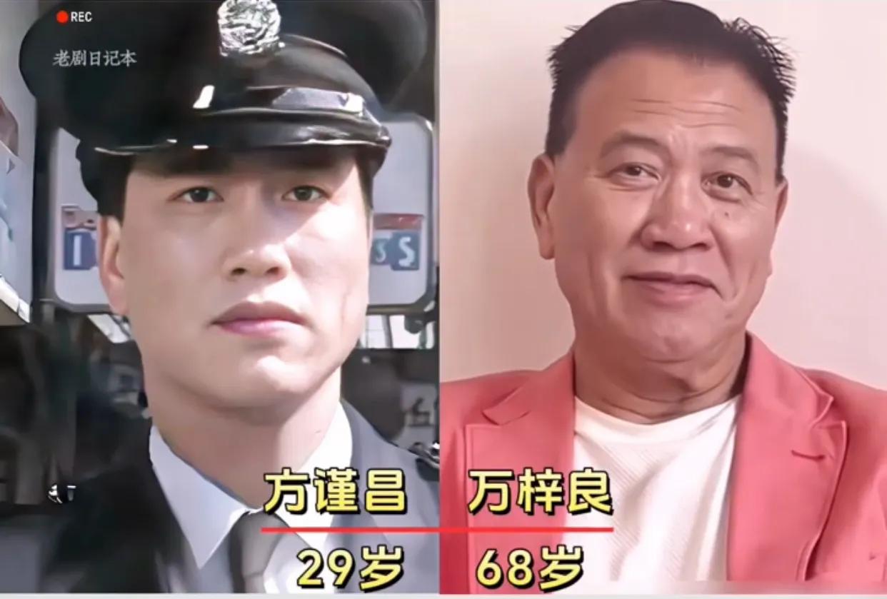 《流氓大亨》演员演技特别好。梓良带着成熟的演技，,万梓良陆续参演了《太极张三