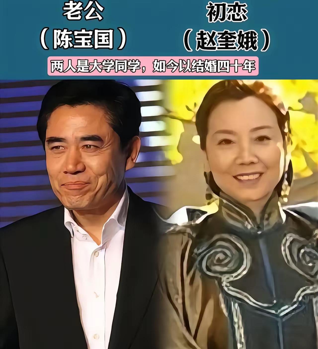 陈宝国赵奎娥夫妇辛柏青朱媛媛夫妇王宁刘纯燕夫妇从青丝走到白发的三对低调明星