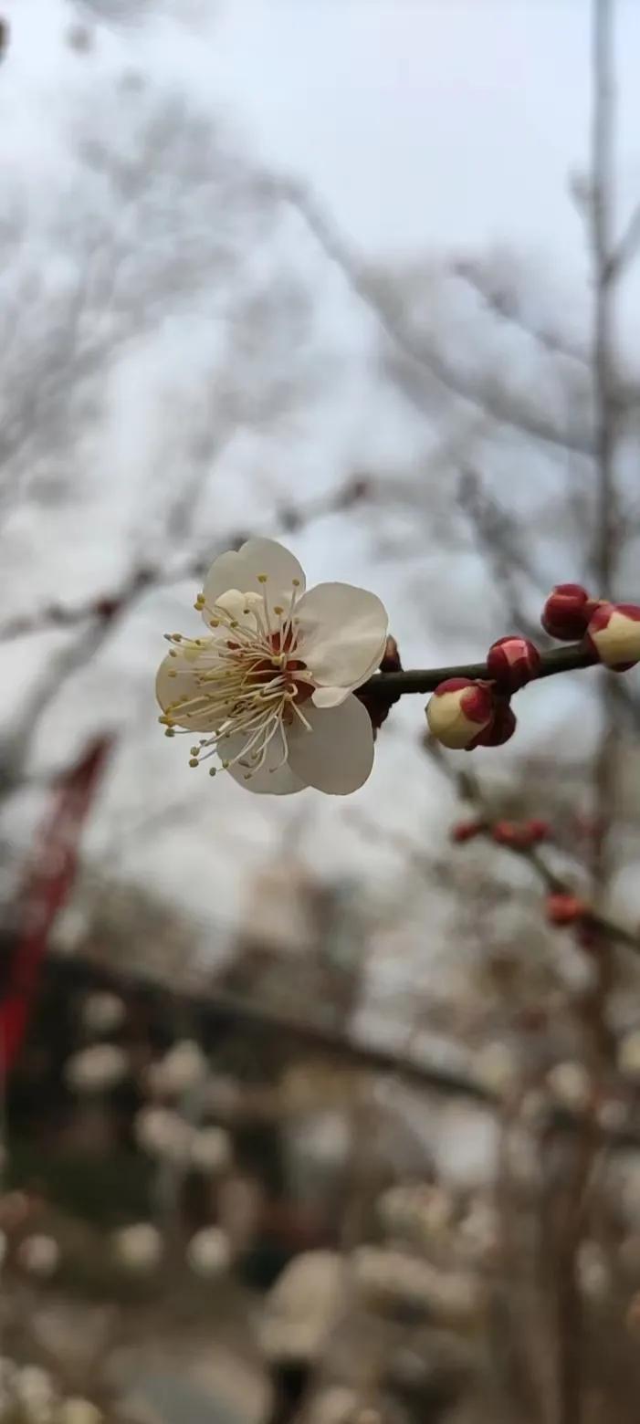 人，一旦出现下面这几种状态，就很难被珍惜了一、事事迁就；二、一味妥协；