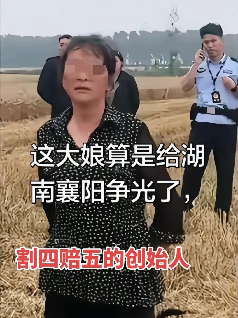 笑死，之前全网骂那个"割四亩赔五亩"的挑事大妈，现在咱本地收割机车队居然开始念她