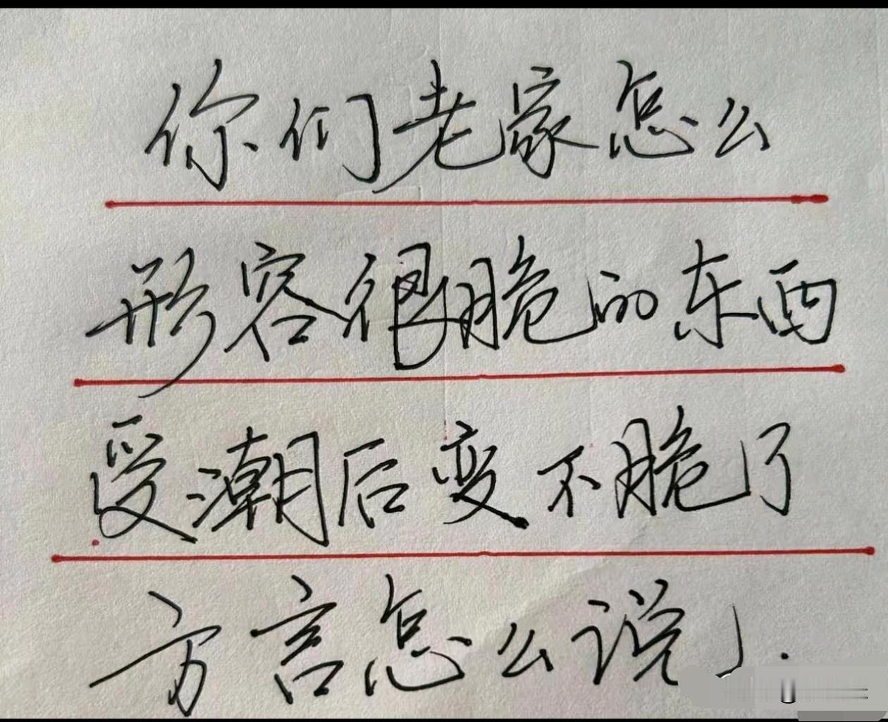 各位高手请回答