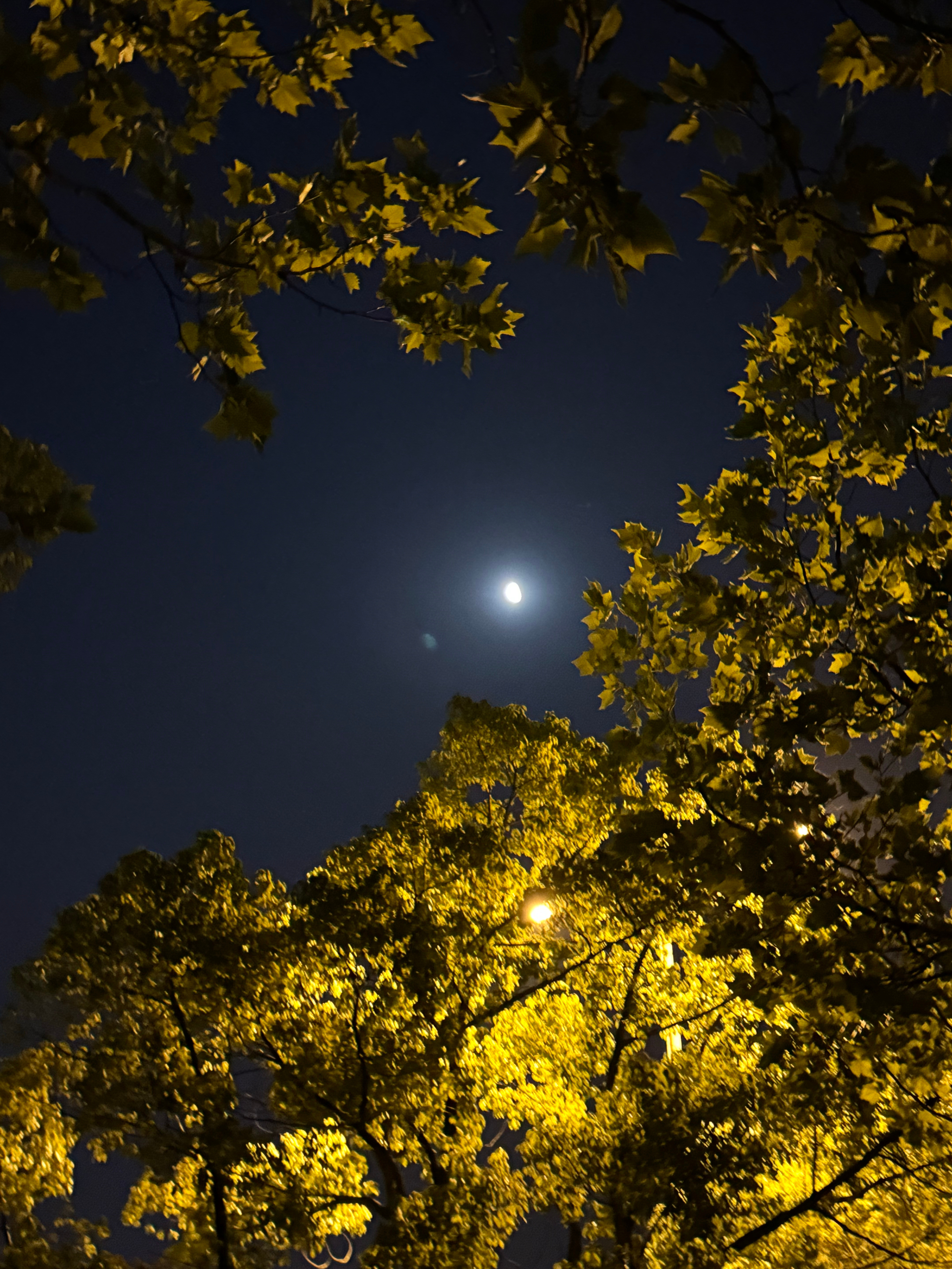 夜里的月亮好亮啊​​​