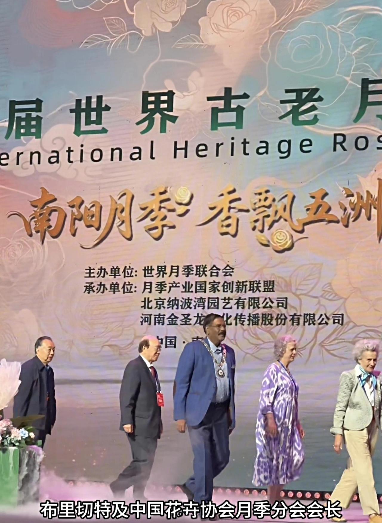 还记得小时候，奶奶总在院子里种几株月季，说那是