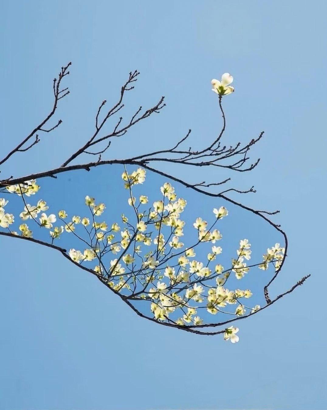 四时与万象，浪漫的形状〡摄影审美累积​​​