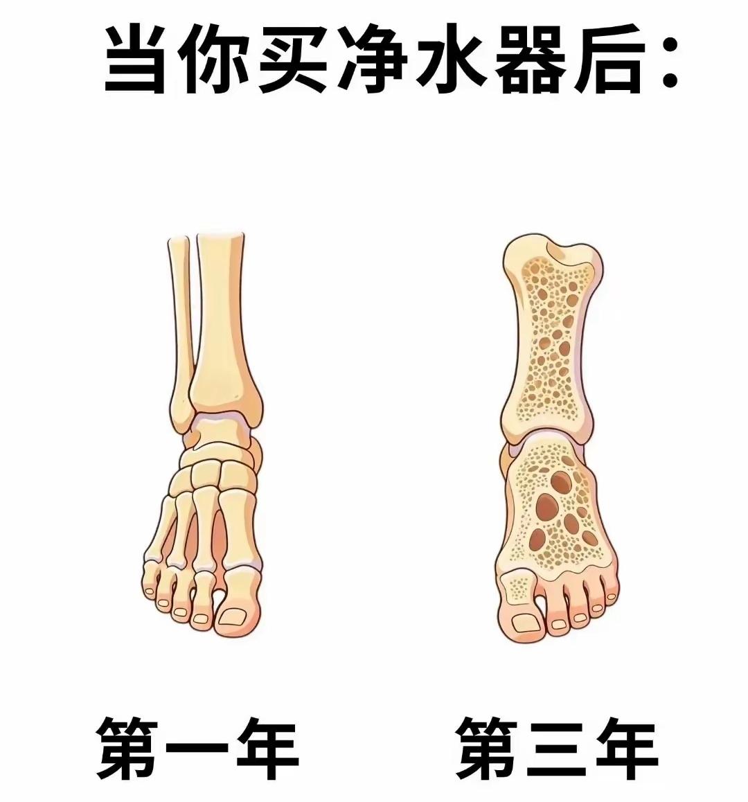 这张图到底有没有科学依据？看着挺吓人的，难道喝了净水器的水后，会流失那么多钙吗