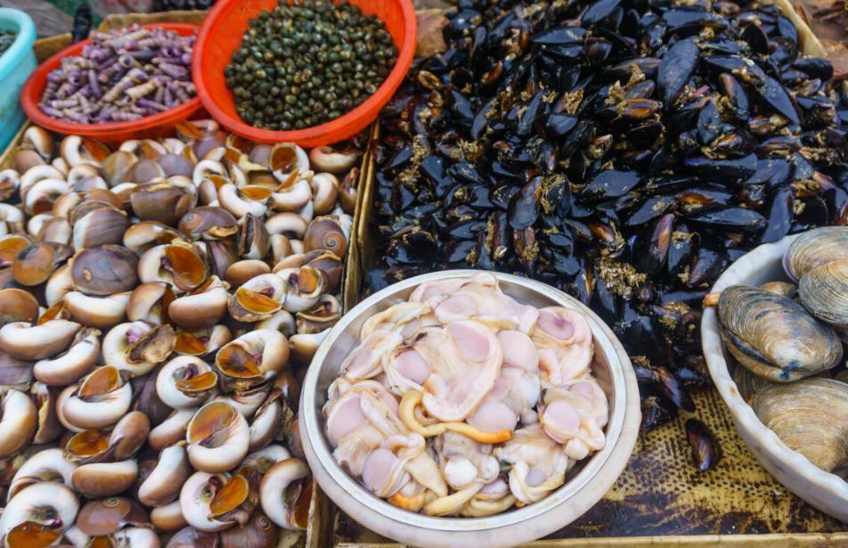 癌症患者越来越多，和爱吃海鲜有关？医生：2类海鲜少吃，别不信海鲜在沿海城市的