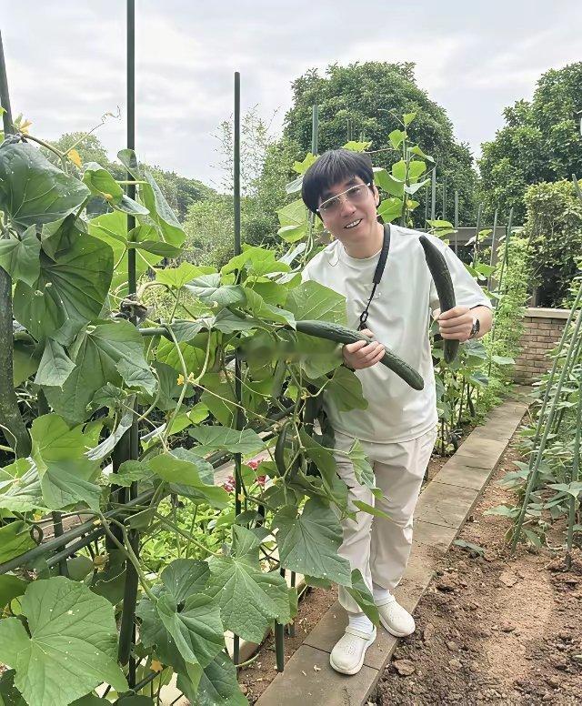 62岁的范明住别墅，还有一个大院子，种满了花花和果树