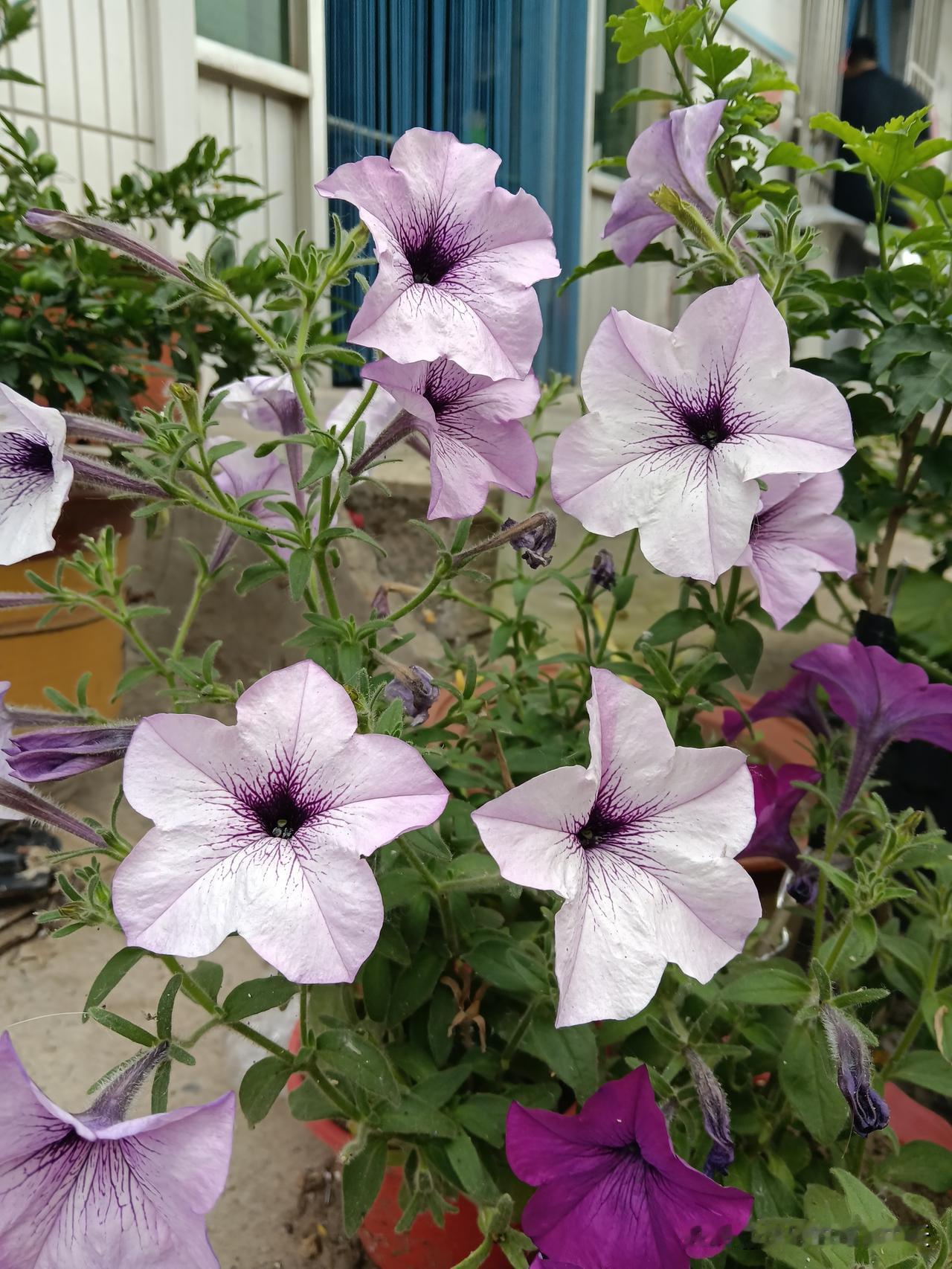 ​一、钱要珍惜钱不是大风刮来的，该花的花，不该花的不乱花。学会存钱，不攀比，不