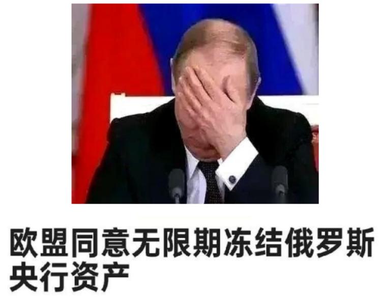 俄罗斯真的有招，欧盟冻结我们的钱我们不要了，我们就拿欧盟的钱抵了。近期欧盟表示如
