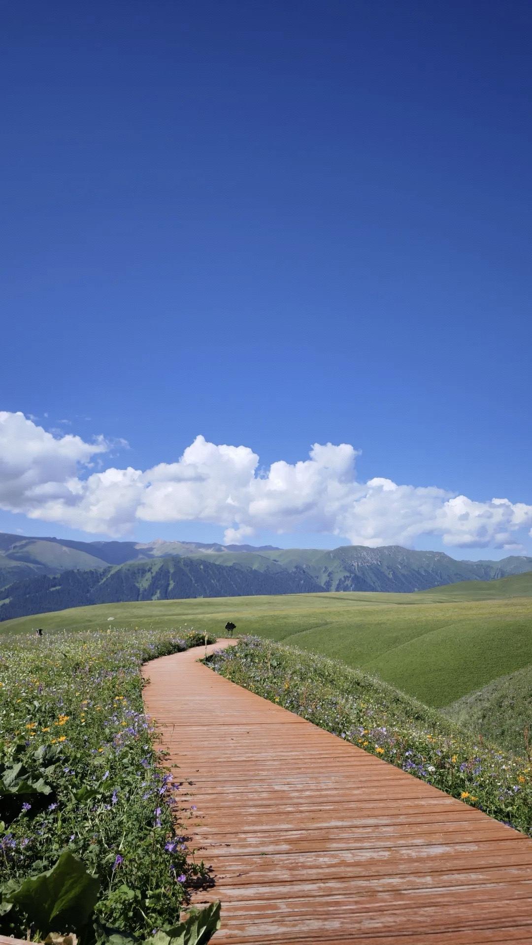 一模考试刚刚结束，很多孩子的数学都没有考好，就考了六七十分，所以最近两天接待了5