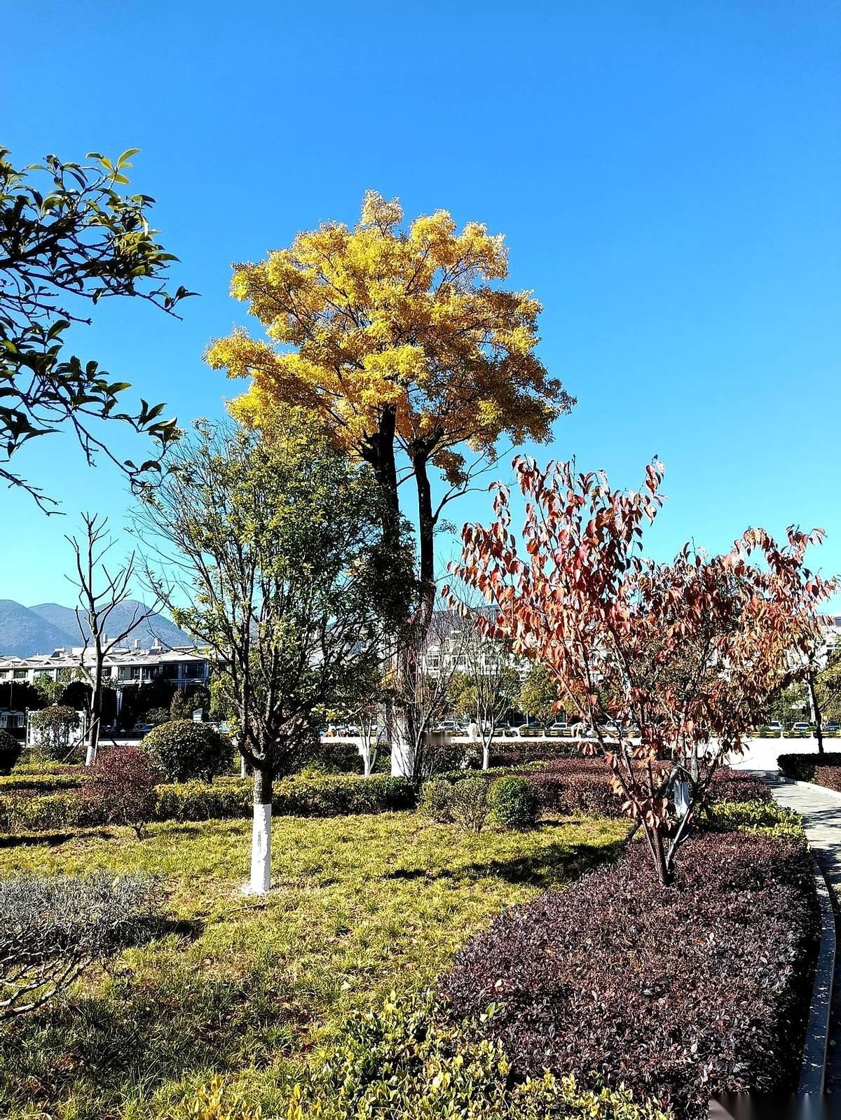 我爸56岁就走了。一半是累死的，一半，是被我妈念叨死的。从小，我妈就在我耳朵