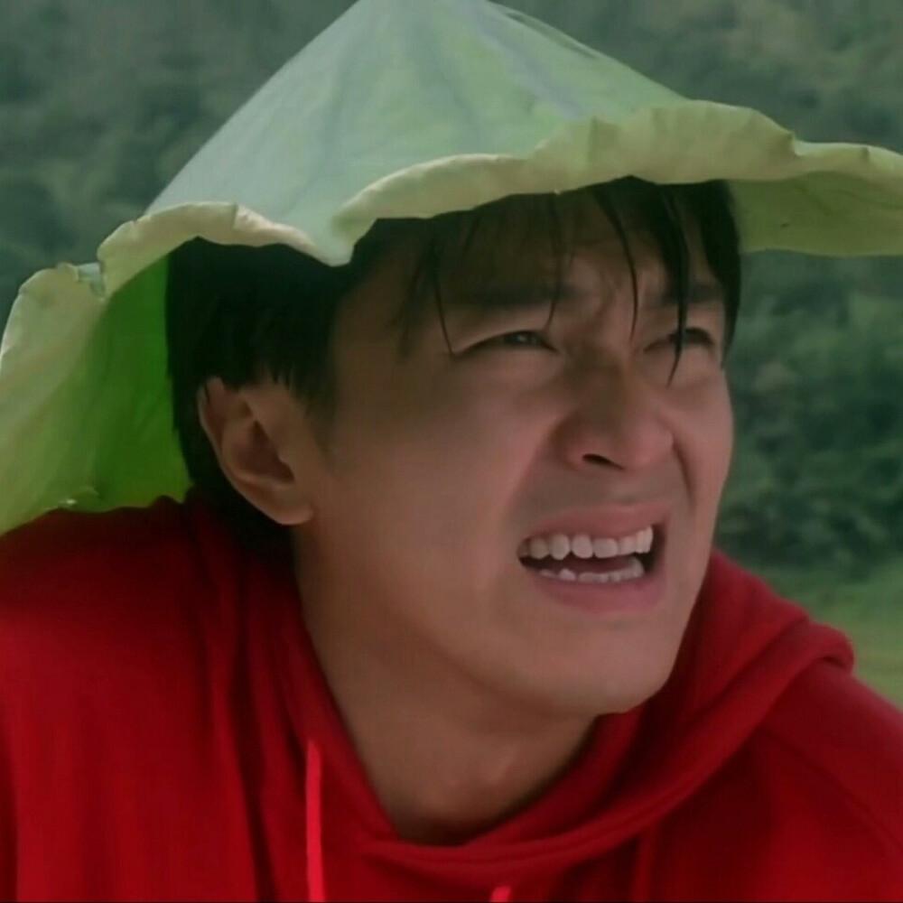 《功夫女足》上映16天，票房已冲到18.6亿元！超 《​功​夫​》跻身星爷导演