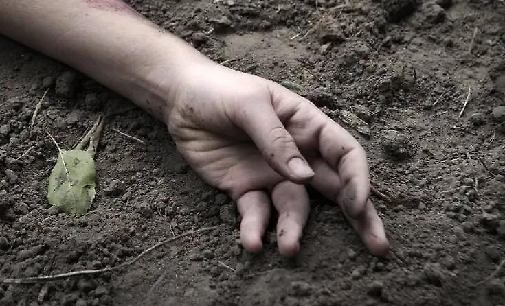 “一片废墟”：一名被俘的乌克兰武装部队士兵谈及迪米特洛夫的“尸山”。乌克兰军