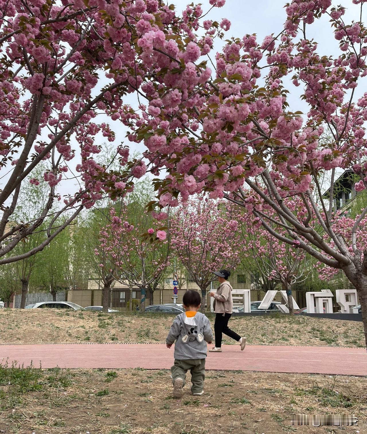 怪不得现在的儿媳妇都不让婆婆看孩子了！今天得知朋友的儿子出院了，我买点东西来