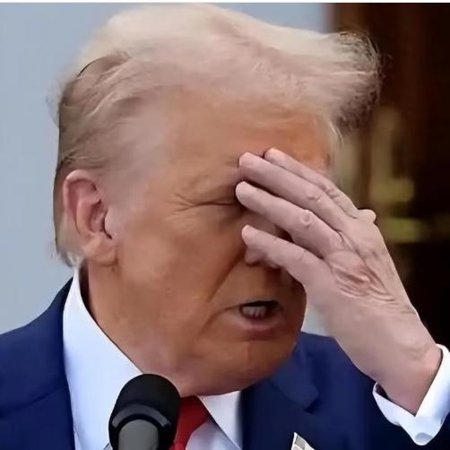 2025年11月4日这天，特朗普的一番涉华言论又成了国际舆论的焦点—