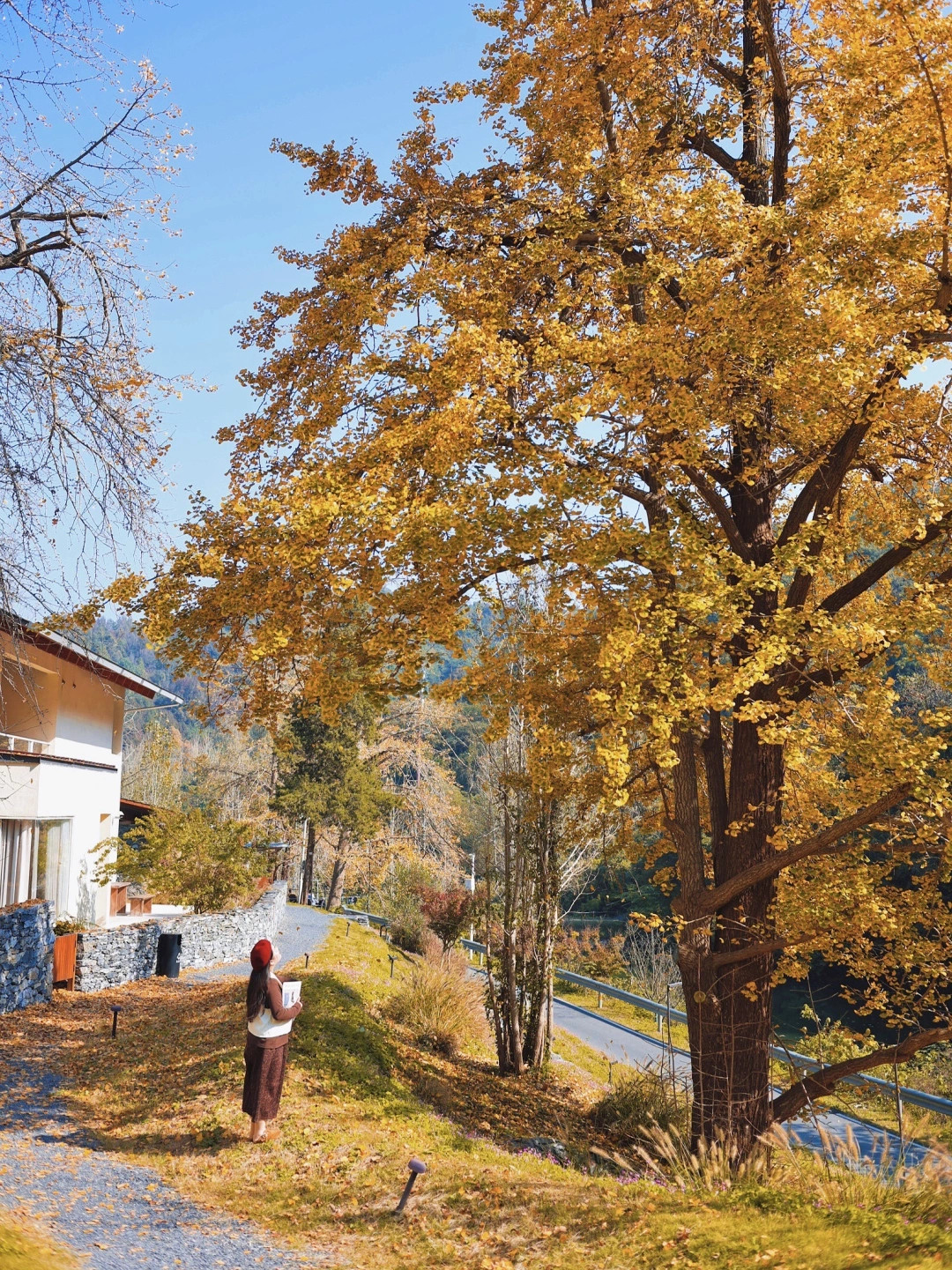 随州赏秋2️⃣天1️⃣夜攻略🍂免费拍绝美银杏