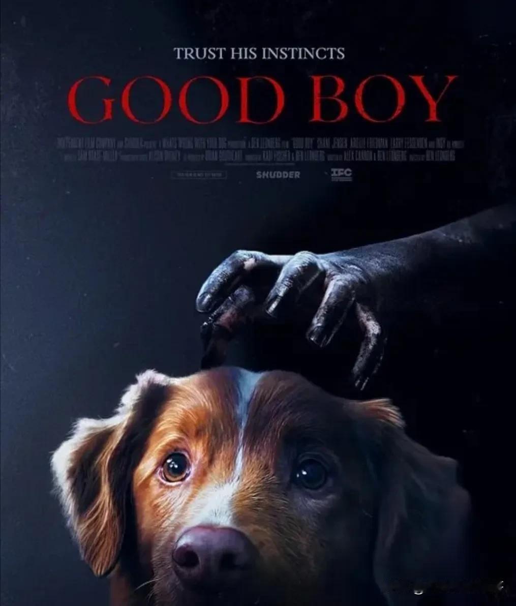 狗来主演恐怖片还是第一次。电影《好狗狗Goodboy》十月三日在北美上映。这个